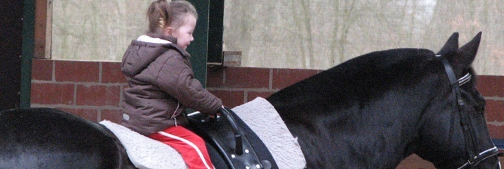 Reiten lernen wird durch Voltigieren leichter